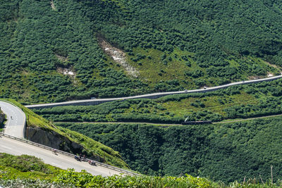 High angle view of road amidst trees