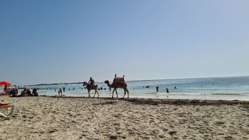 People riding horse on beach against sky