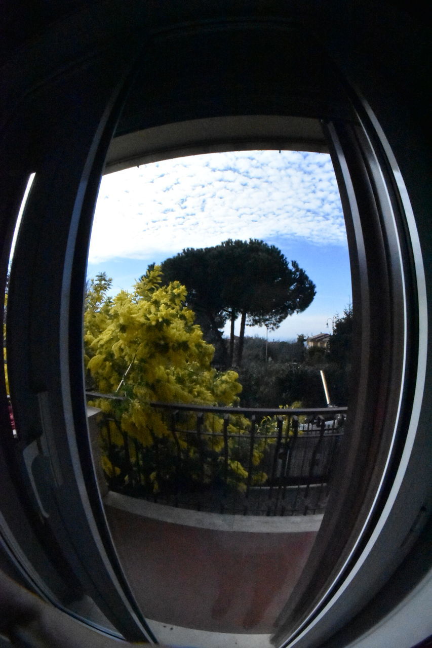 glass - material, tree, side-view mirror, window, reflection, transportation, no people, land vehicle, day, sky, indoors, close-up, road, landscape, fish-eye lens, nature