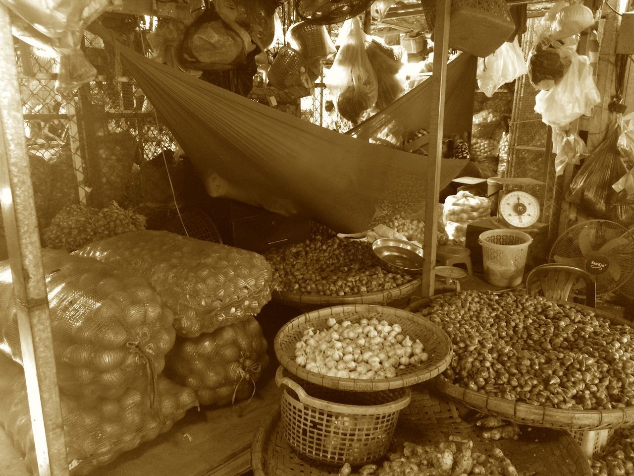 MAN WORKING IN TRAY