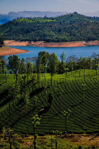 A beautiful landscape at backwater of sholaiyar dam in valparai tea estate 