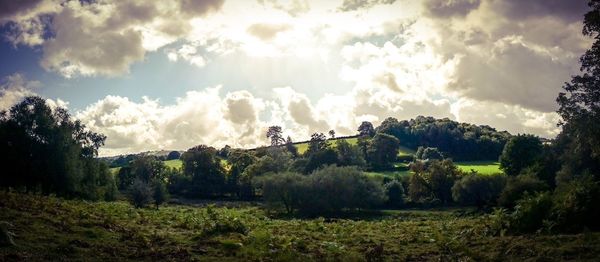Panoramic view of trees on field against sky