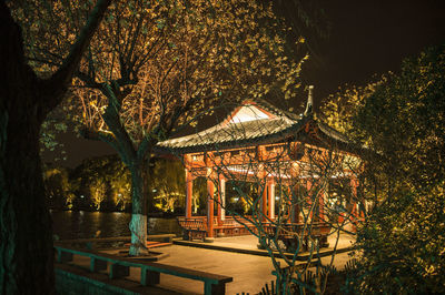 Illuminated trees in park at night