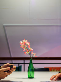 Cropped image of hand holding flower