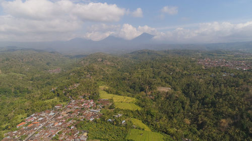 Village among rice fields and terraces in asia. aerial view farmland with rice terrace 