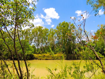 Scenic view of lake against sky