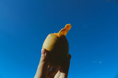 Close-up of hand holding mango against blue sky