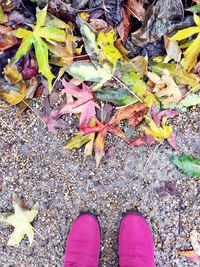 Low section of person standing on fallen leaves