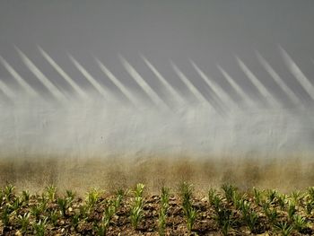 Scenic view of field in foggy weather