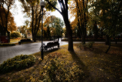 Empty bench in park during autumn