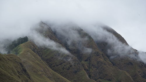 The mountain near of rinjani mount at senaru village, west nusa tenggara, indonesia.