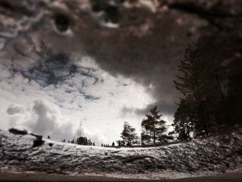 Trees on snow covered landscape against sky