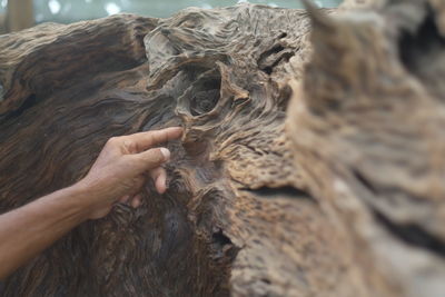 Close-up of hand touching rock