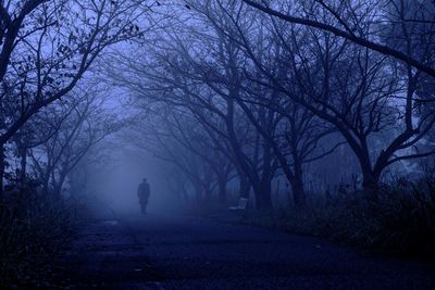 Silhouette person walking on road amidst bare trees