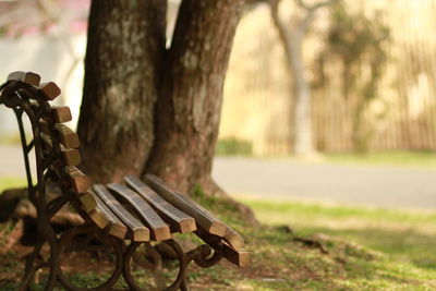 Close-up of empty bench in park