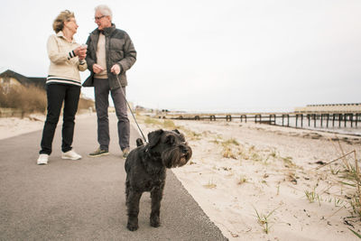 Schnauzer against senior couple standing on footpath at beach