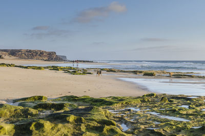 Scenic view of beach and sea against sky