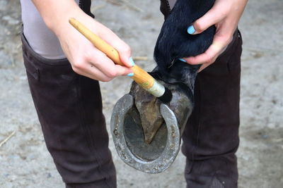 Midsection of woman cleaning horse leg with brush