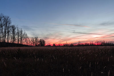 Scenic view of field against sky during sunset