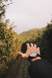 Cropped hand against clear sky