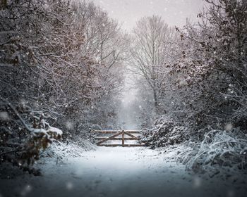 View of snow covered landscape