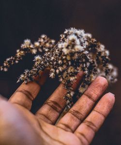 Close-up of person holding hand