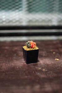 Close-up of dessert on table