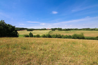 Scenic view of field against sky