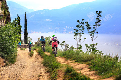 Rear view of people walking on road