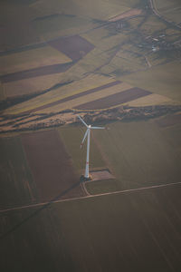 High angle view of agricultural field