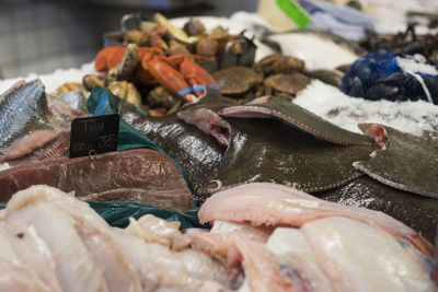 Close-up of fish for sale in market