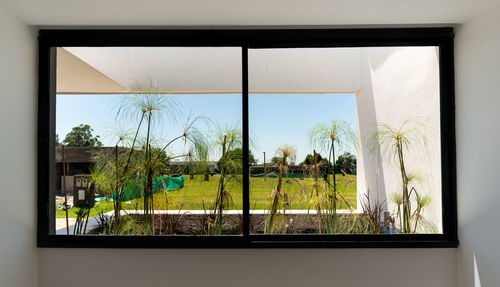 Trees and plants seen through glass window of house