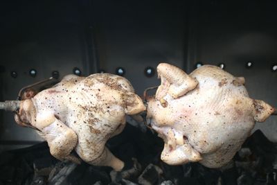 Close-up of mushrooms