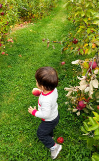 Rear view of boy standing on grass