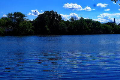 Reflection of trees in calm lake