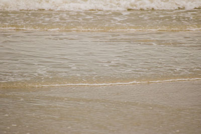 High angle view of wet beach