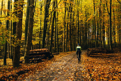 Rear view of woman walking in forest during autumn