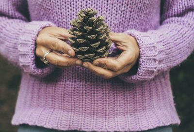 Midsection of woman holding pine cone