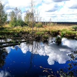 Reflection of trees in lake against sky