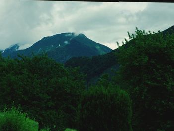 Scenic view of forest and mountains against sky