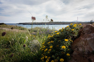 Scenic view of sea against cloudy sky