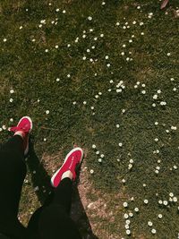 Low section of woman wearing red shoes standing on grassy field