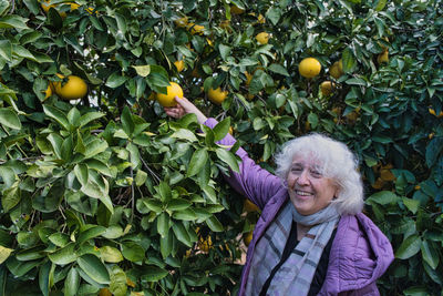 Mature gray-haired happy woman over 60 in a purple jacket in a citrus garden.