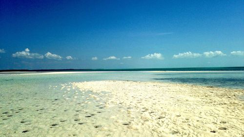 Scenic view of beach against blue sky