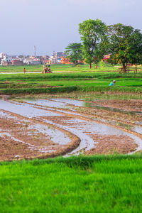 Scenic view of field against sky