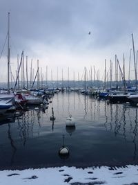 Sailboats moored on sea against sky