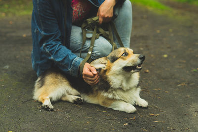 Low section of man with dog