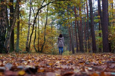 Rear view of woman standing in forest