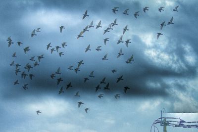 Low angle view of birds flying against cloudy sky