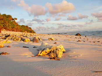 Scenic view of beach against sky during sunset